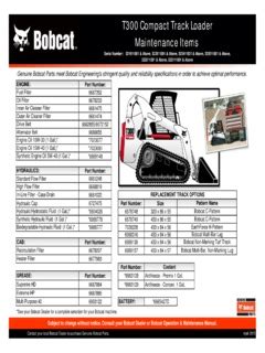 t300 skid steer specs